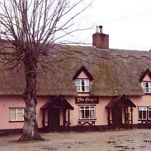 The Grapes