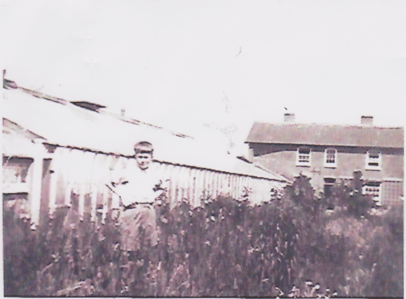 Greenhouse