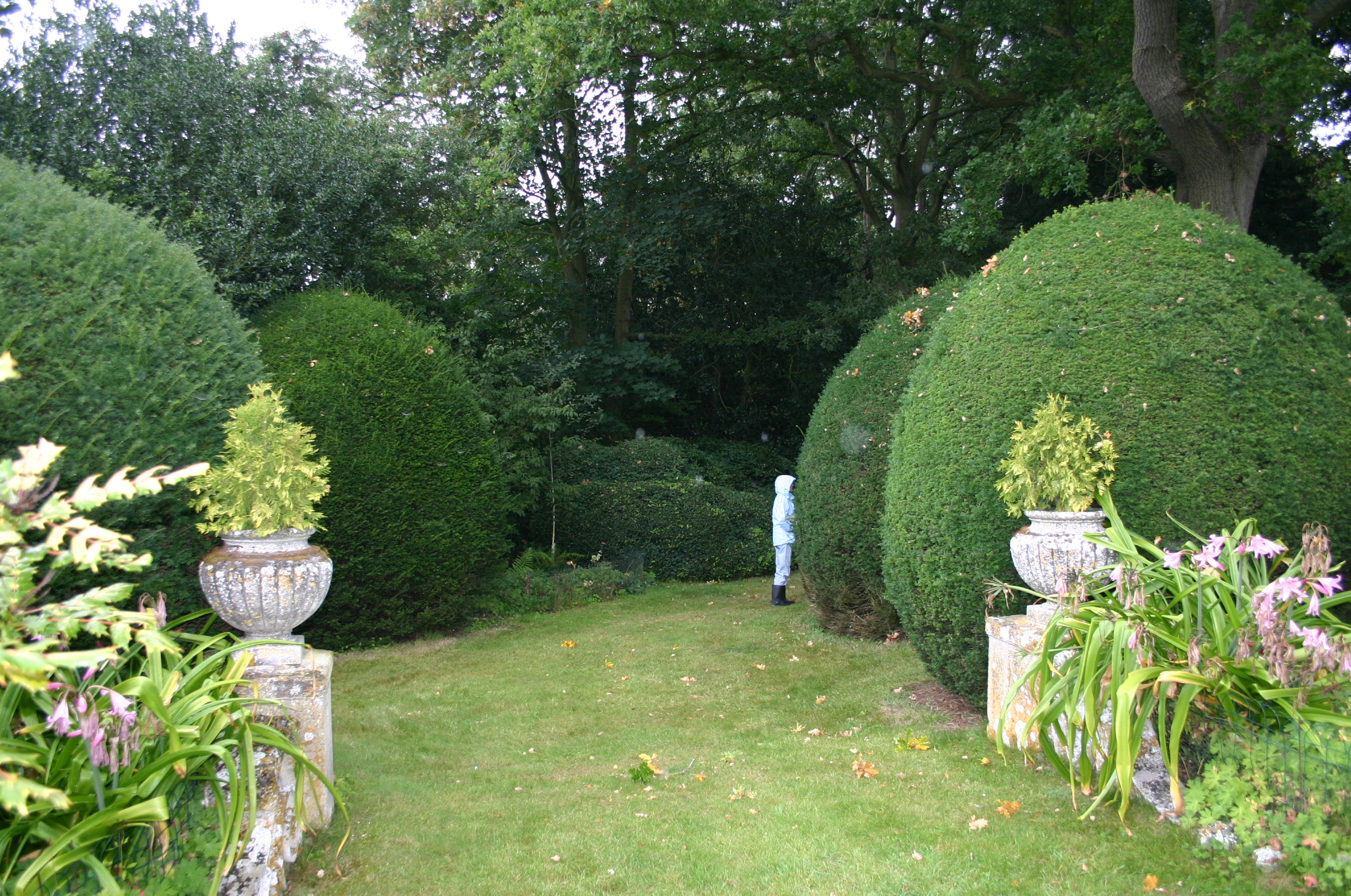 Path