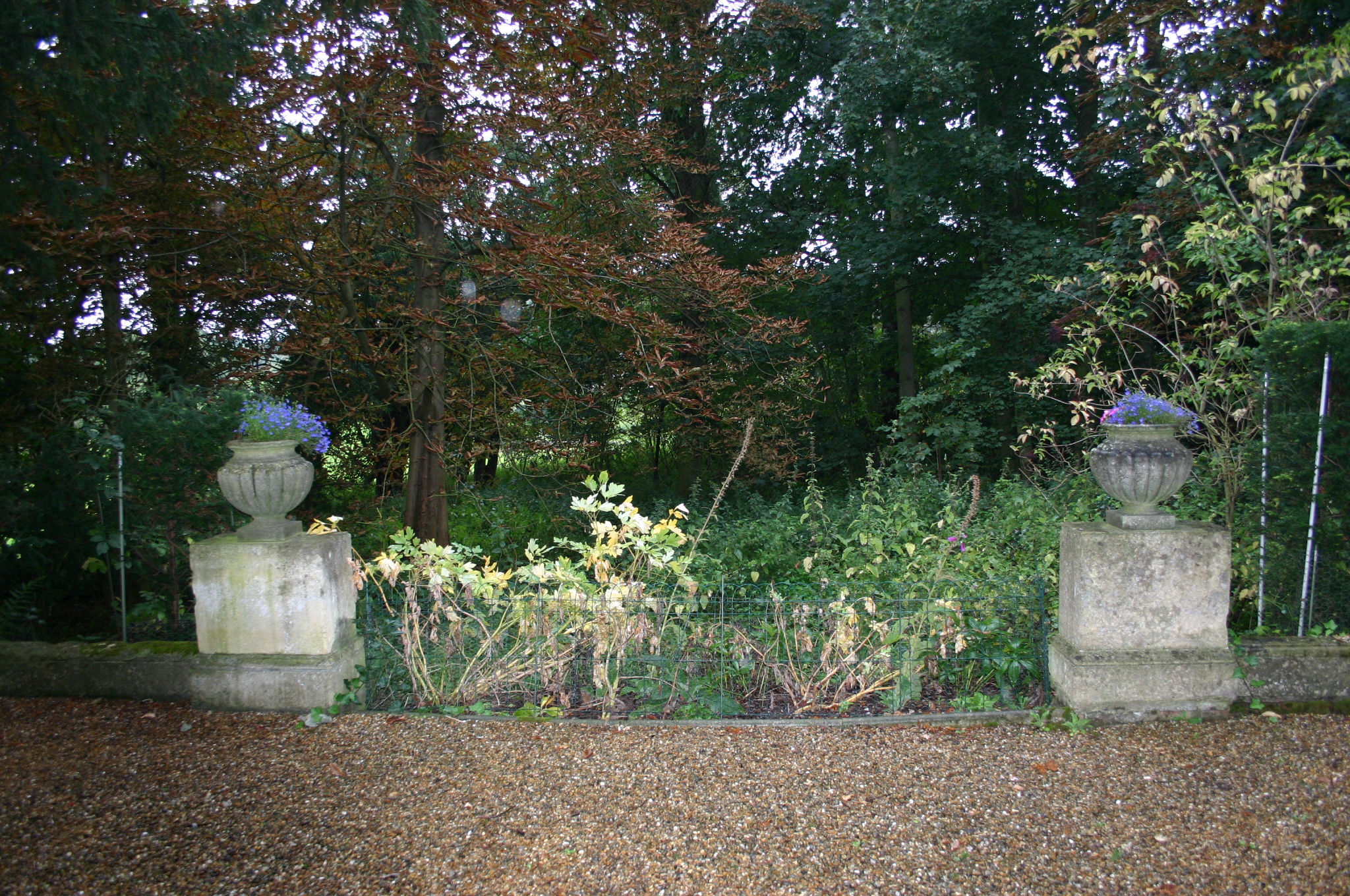 Path