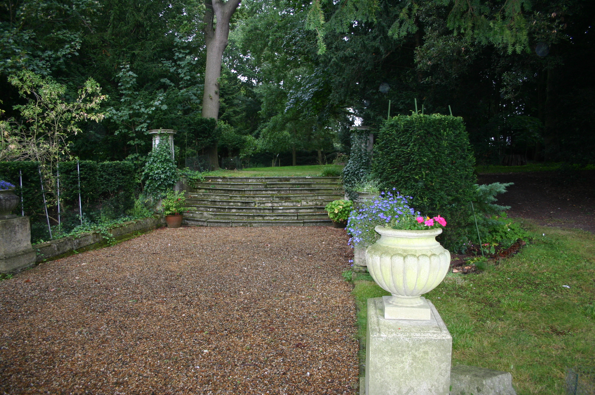 Steps