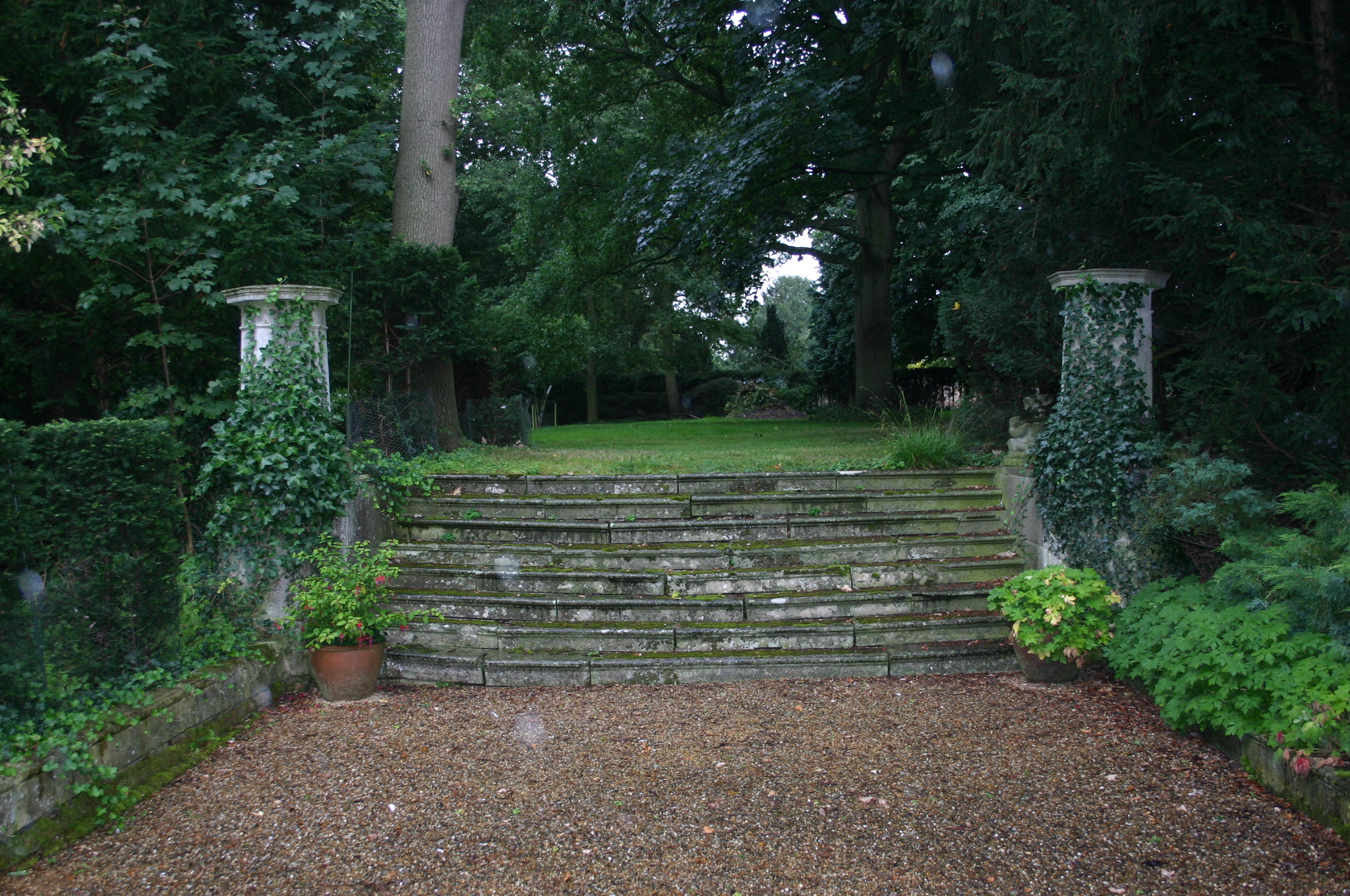 Steps